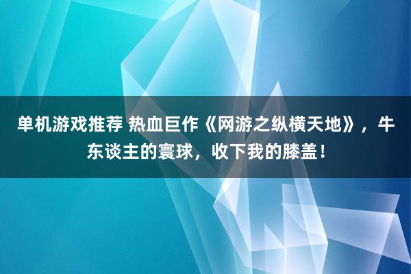 单机游戏推荐 热血巨作《网游之纵横天地》，牛东谈主的寰球，收下我的膝盖！