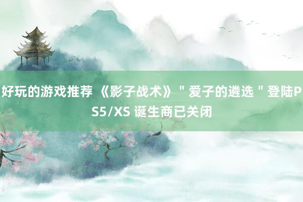 好玩的游戏推荐 《影子战术》＂爱子的遴选＂登陆PS5/XS 诞生商已关闭