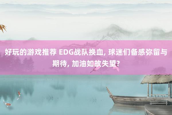 好玩的游戏推荐 EDG战队换血, 球迷们备感弥留与期待, 加油如故失望?