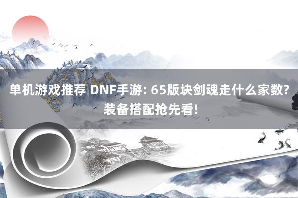 单机游戏推荐 DNF手游: 65版块剑魂走什么家数? 装备搭配抢先看!