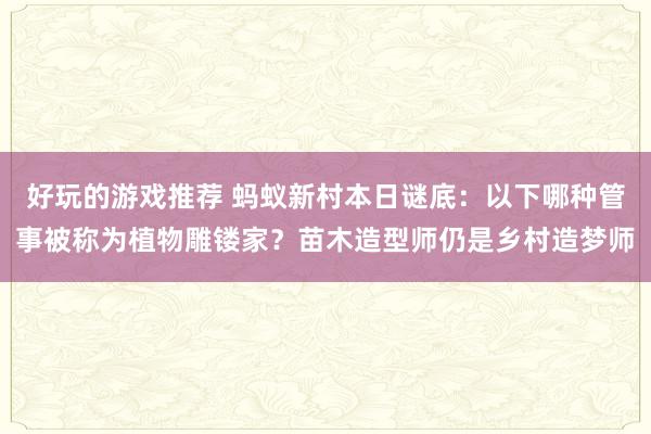 好玩的游戏推荐 蚂蚁新村本日谜底：以下哪种管事被称为植物雕镂家？苗木造型师仍是乡村造梦师